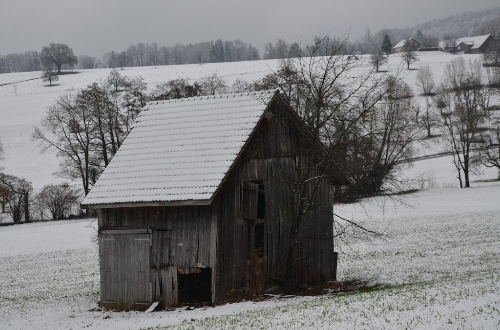 Mamãe me dá um iphone, todo mundo tem.