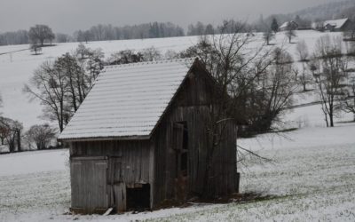 Mamãe me dá um iphone, todo mundo tem.