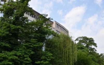 Adaptation and future