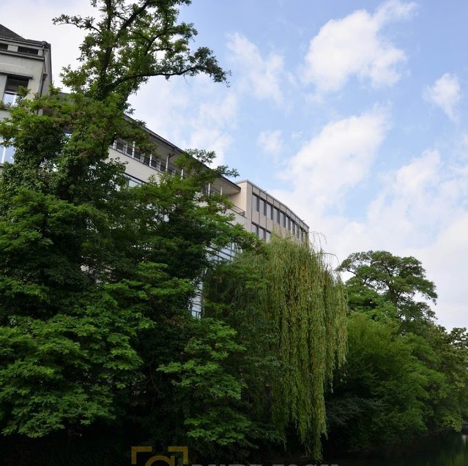 Adaptation and future