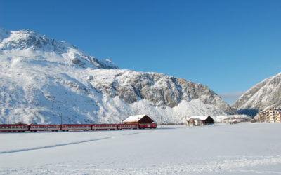 To live: complexities and successes!!