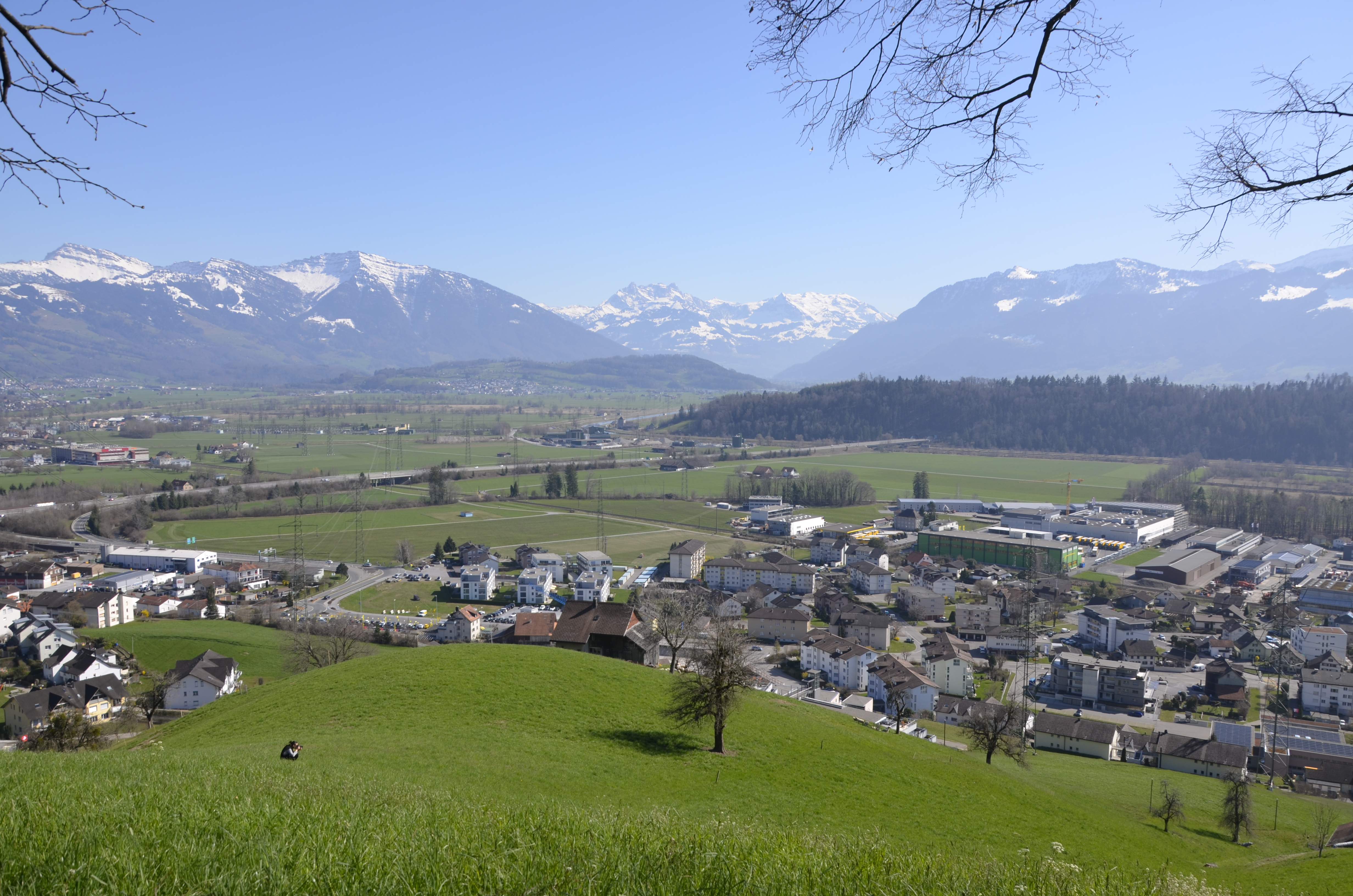 Gratitude about life