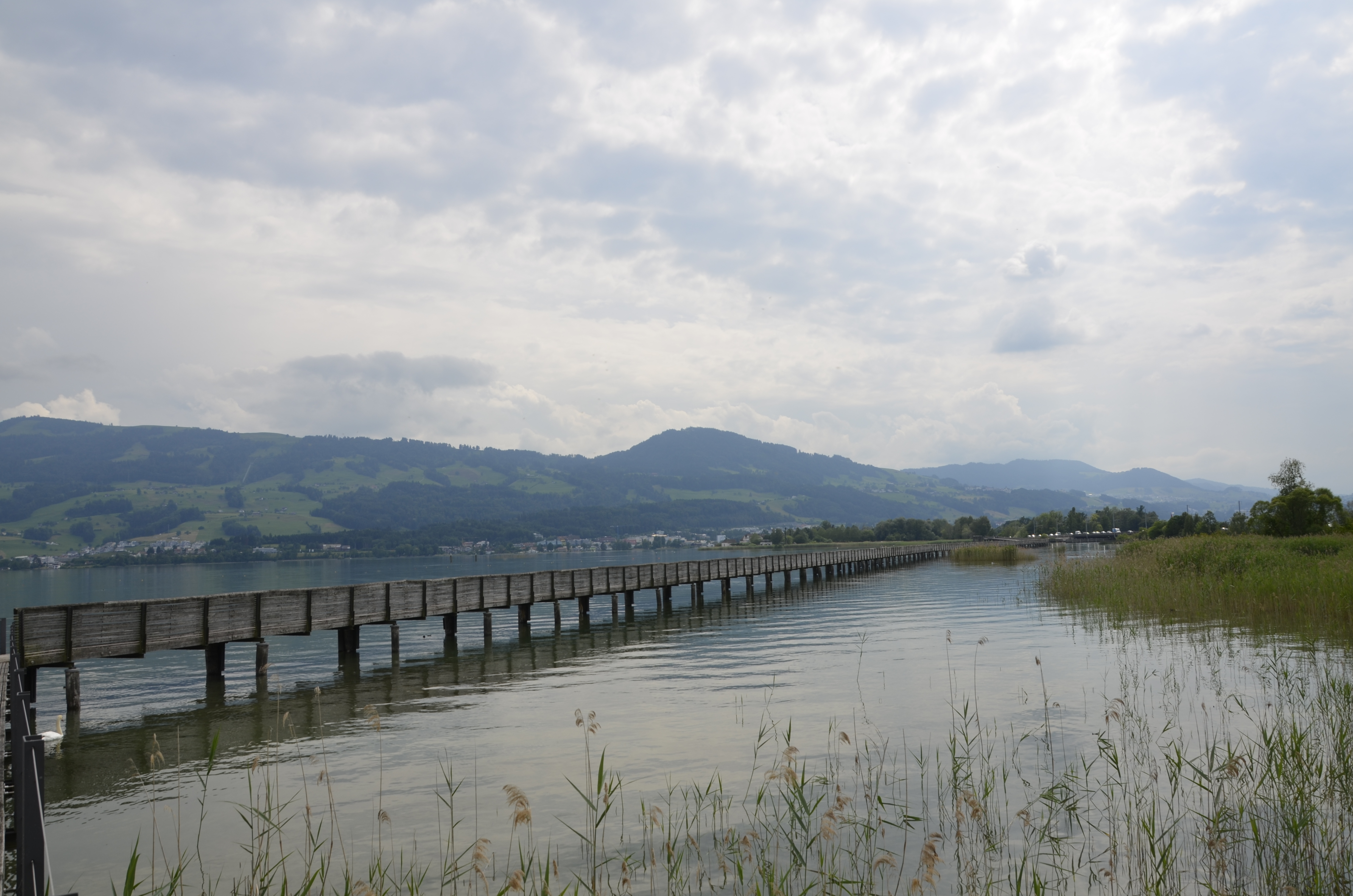 Rejection and affective neediness