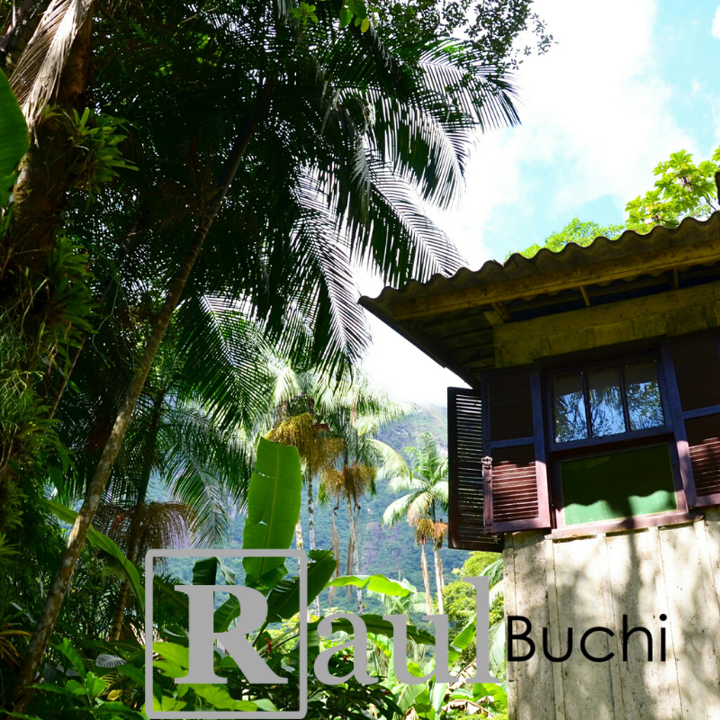 Development and love